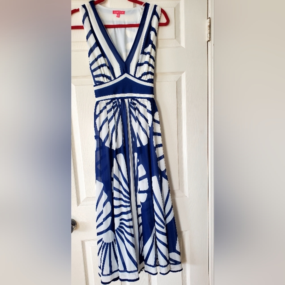 Blue and White Dress